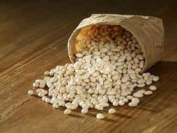 Kak podgotovit' semena fasoli k posadke
