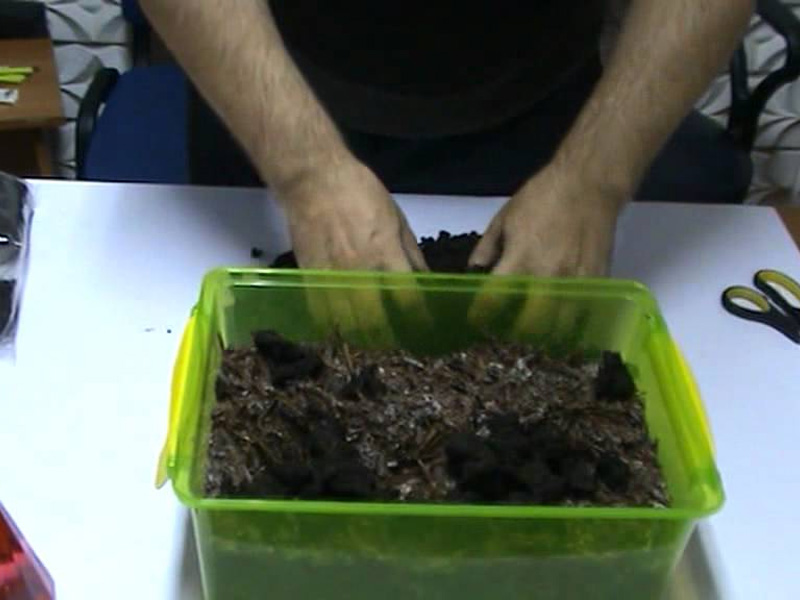 Подготовка почвы для выращивания грибов в домашних условиях
