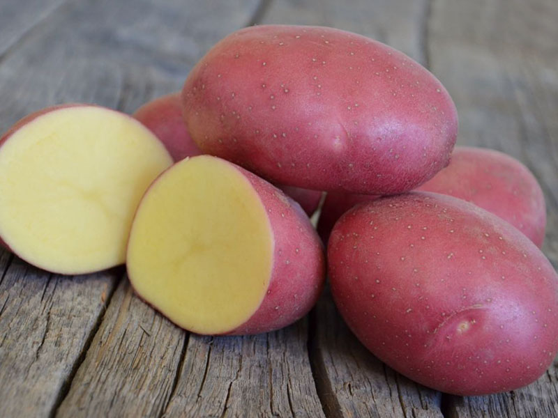 Среднеранние сорта картофеля