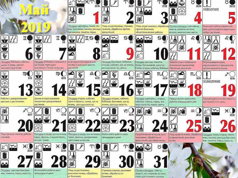 Лунный календарь огородника