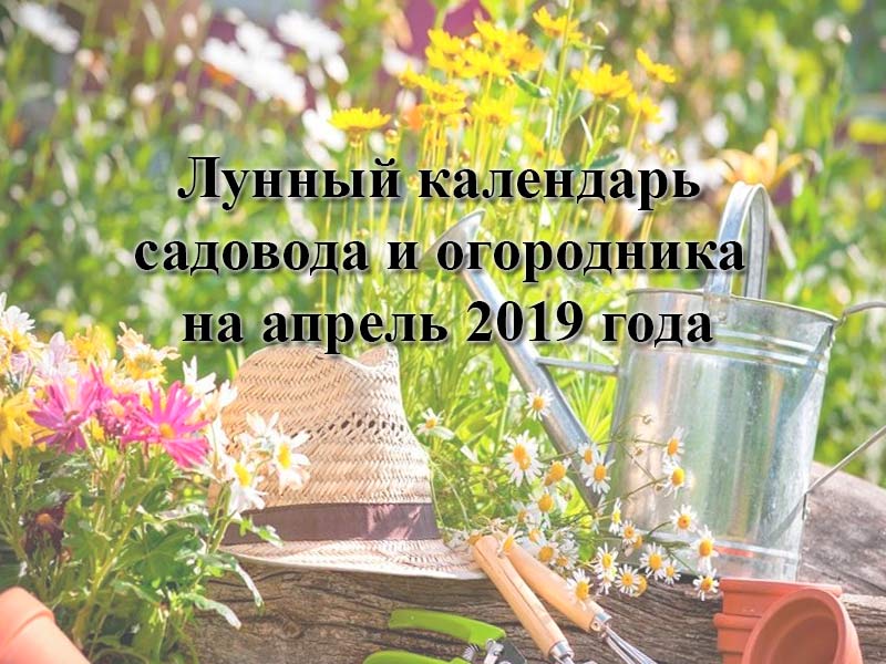 Лунный календарь садовода и огородника на апрель 2019