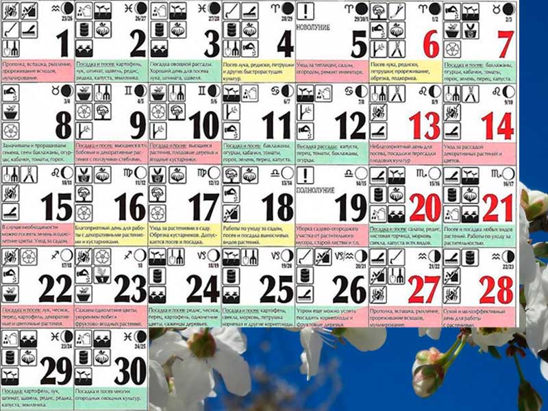 Лунный календарь садовода на апрель месяц 2024. Календарь садовода на апрель. Посадочные дни в конце апреля. Лунный календарь садовода и огородника на апрель. Планный календарь на апрель.